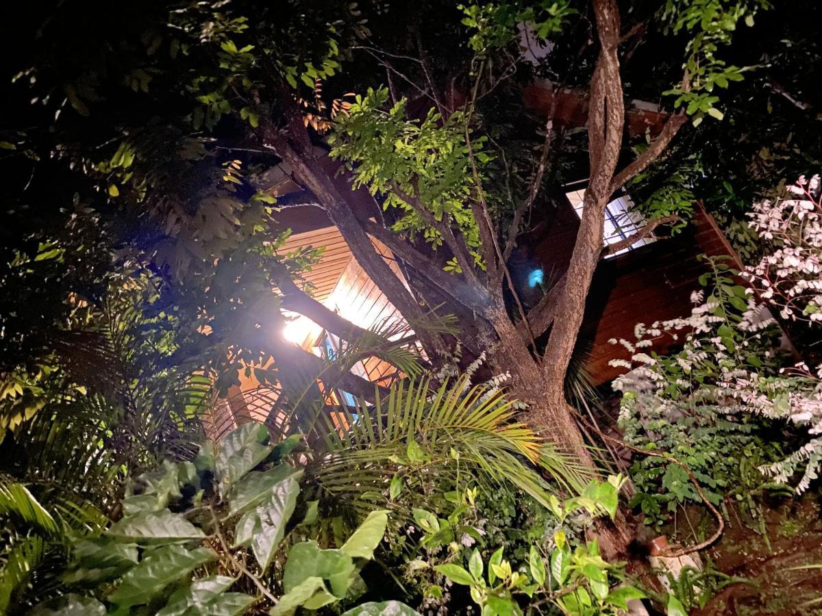 Chalet Pittoresque A Le Tampon, Vue Mont. Esterno foto