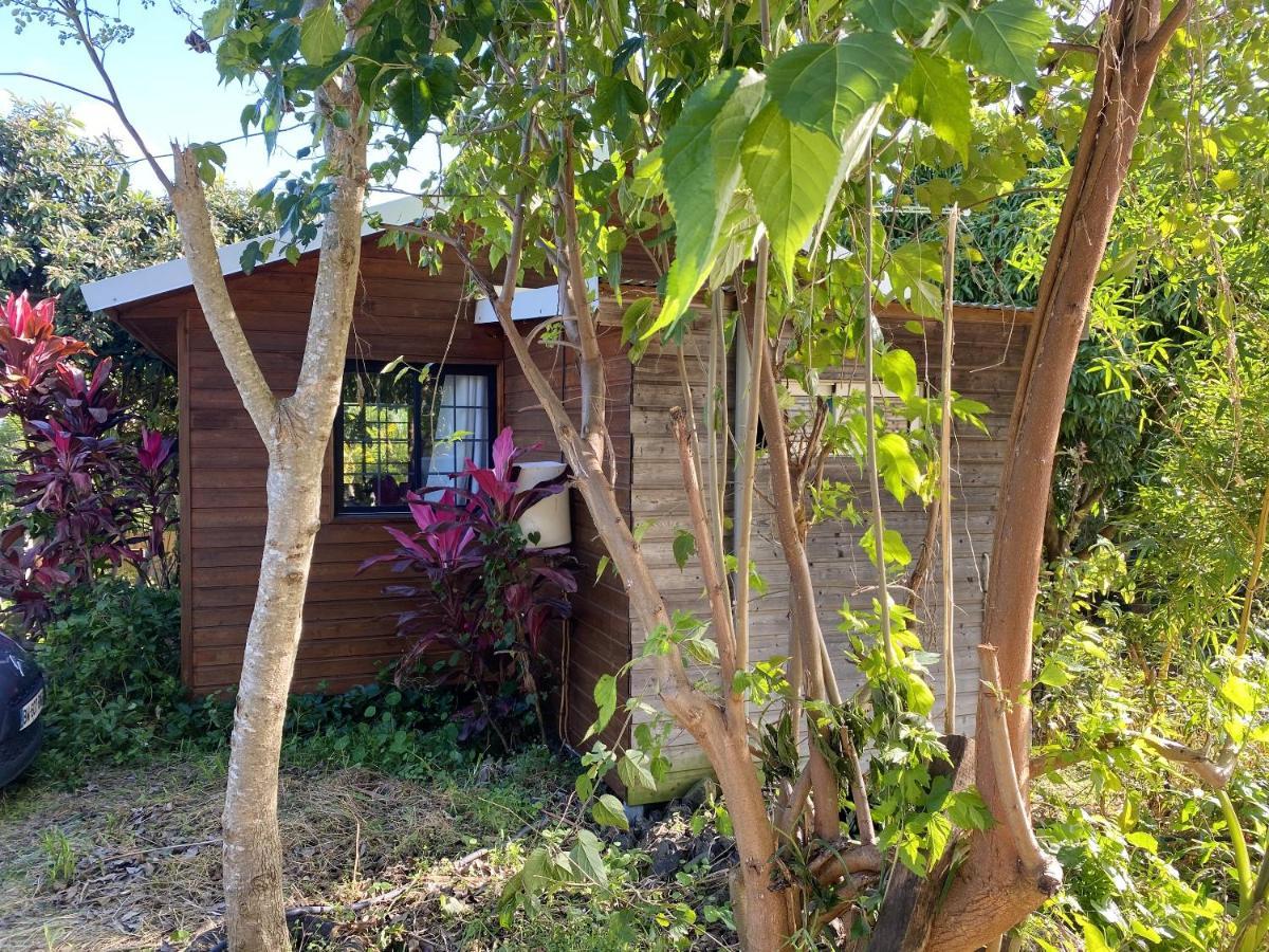Chalet Pittoresque A Le Tampon, Vue Mont. Esterno foto